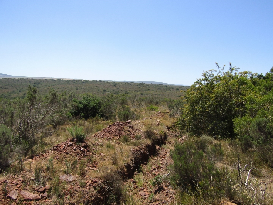 0 Bedroom Property for Sale in Humansdorp Rural Eastern Cape